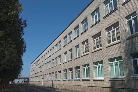 Триповерхова цегляна школа з рядами вікон уздовж алеї дерев