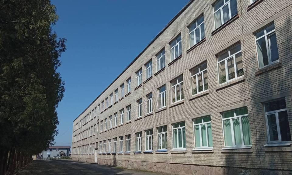 Триповерхова цегляна школа з рядами вікон уздовж алеї дерев